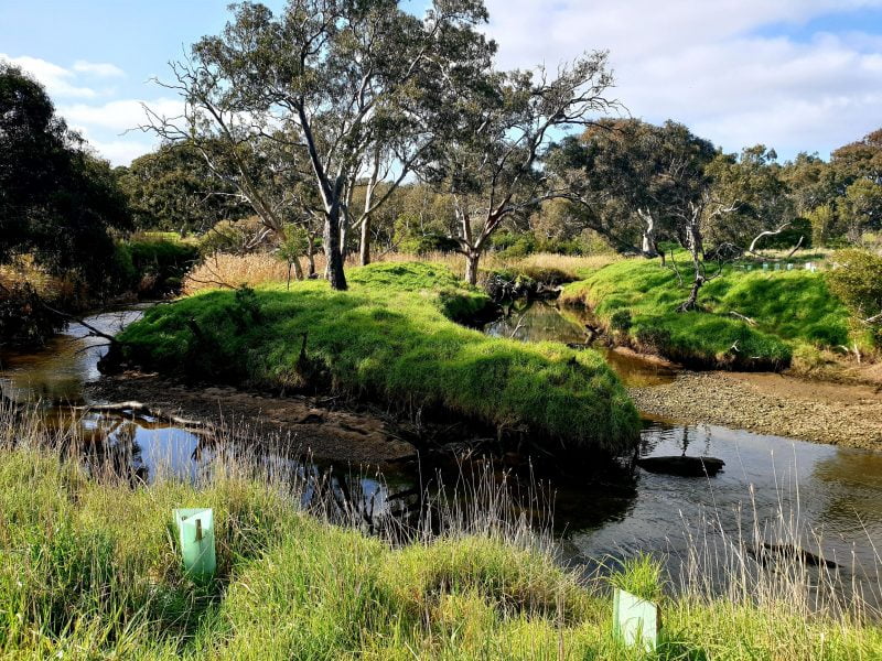 Werribee River Regional Park riparian zone