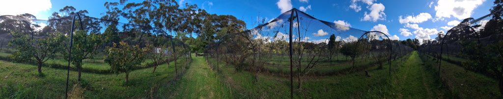 The stormwater harvesting project at Werribee Park Heritage