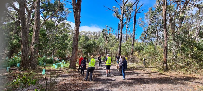 Workers doing an inspection of the new Walking Trail