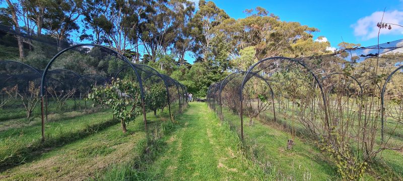 Werribee Park