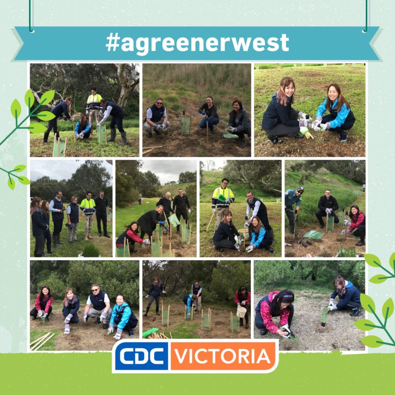 CDC Victoria Staff Participate In One Of The Biggest Planting Events